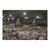 Once®  MLM Swine LED Bulb Only, 10 W