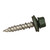 Painted Sheet Metal Screws - 10 X 2"