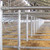 Free Stalls by Sturdy Built