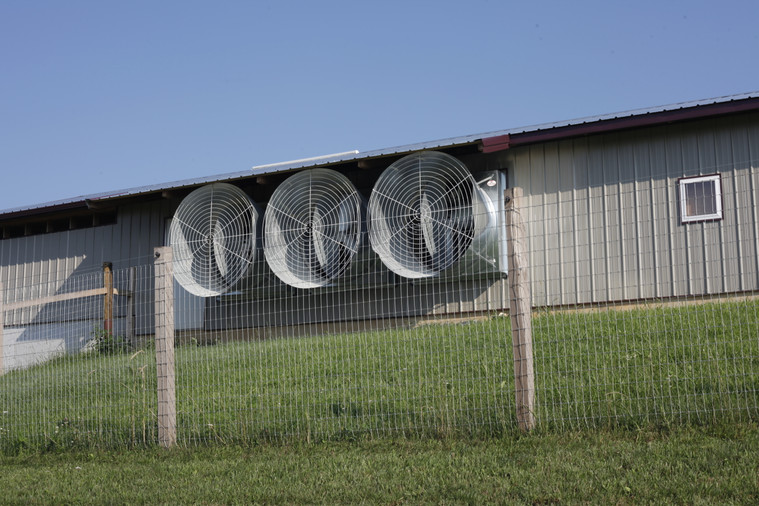 Automated Ventilation Solutions for Your Livestock Comfort 