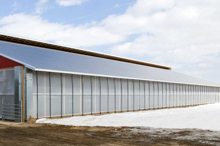 Barn Curtains: Benefits & Choosing The Right Option For Your Livestock