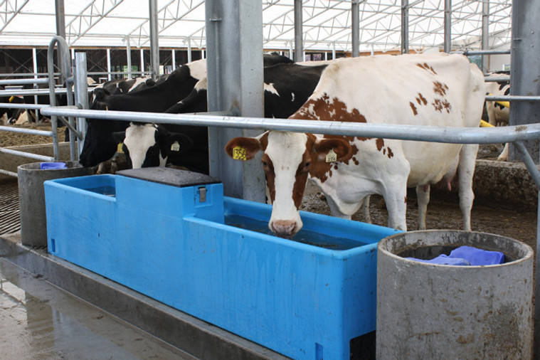 How To Keep Troughs And Cattle Watering Systems From Freezing