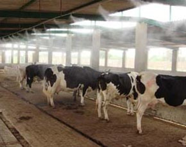 What Are Dairy Barn Foggers And How Are They Used?