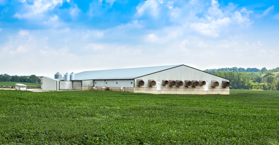 6 Tips For Preparing Your Barn For Spring
