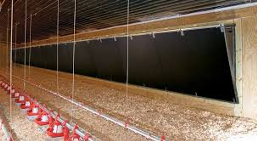 3 Advantages of Tunnel Ventilated Broiler Houses