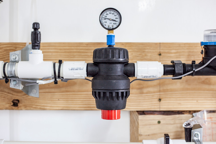 Summer Hydration and Cooling Tips for Poultry & Livestock