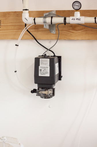 PAA or Chlorine? The Best Winter Strategy for Livestock Waterline Biofilms