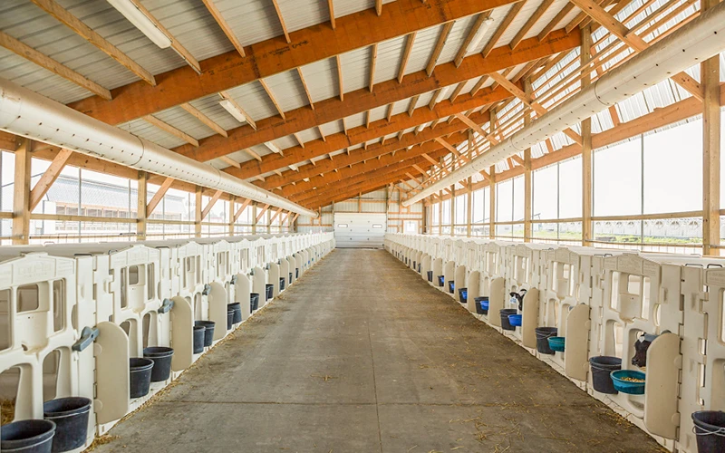 Dairy Housing