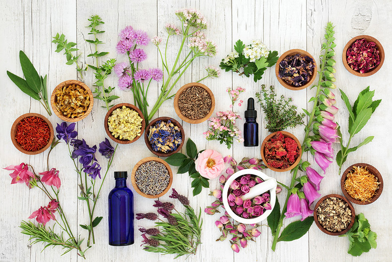 Different kinds of scents: learn more about the delicious Saphirus fragrances