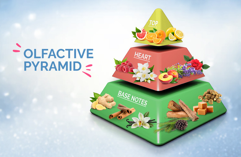 The olfactive pyramid: discover the mysteries of scent perception.