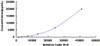 Human Activated Leukocyte Cell Adhesion Molecule (ALCAM)CLIA Kit
