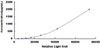 Human Transforming Growth Factor Beta 1 (TGFb1)CLIA Kit