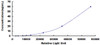 Human Tissue Inhibitors Of Metalloproteinase 3 (TIMP3)CLIA Kit