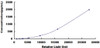 Human Vascular Endothelial Growth Factor C (VEGFC)CLIA Kit