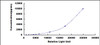 Mouse Macrophage Migration Inhibitory Factor (MIF)CLIA Kit