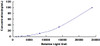 Human Complement C3 Convertase (C3c)CLIA Kit