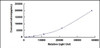 Human Enolase, Non Neuronal (NNE)CLIA Kit