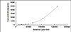 Human Growth Differentiation Factor 15 (GDF15)CLIA Kit