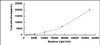 Human Interleukin 4 Induced Protein 1 (IL4I1)CLIA Kit