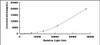 Human Pim-3 Oncogene (PIM3)CLIA Kit