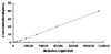 Human Pim-2 Oncogene (PIM2)CLIA Kit