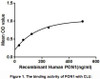 Human Active Paraoxonase 1 (PON1)