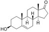BSA Conjugated Dehydroepiandrosterone (DHEA)