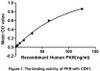 Human Active Protein Kinase R (PKR)