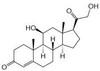 OVA Conjugated Corticosterone (Cort)