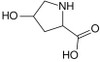 OVA Conjugated Hydroxyproline (Hyp)