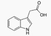 BSA Conjugated Indole 3 Acetic Acid (IAA)