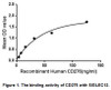 Human Active Cluster Of Differentiation 276 (CD276)