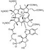 BSA Conjugated Cyanocobalamin (CNCbl)