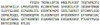 Human Recombinant Protein Disulfide Isomerase (PDI)