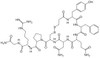 OVA Conjugated 1-Desamino 8D Arginine Vasopressin (DDAVP)