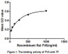 Rat Active Coagulation Factor VII (F7)