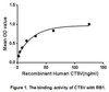 Human Active Cathepsin V (CTSV)