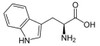 OVA Conjugated Tryptophan (Trp)