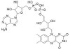 BSA Conjugated Flavin Adenine Dinucleotide (FAD)
