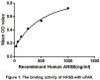 Human Active Arylsulfatase B (ARSB)