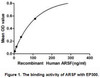 Human Active Arylsulfatase F (ARSF)