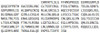 Mouse Recombinant NLR Family, Pyrin Domain Containing Protein 3 (NLRP3)