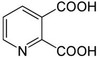 BSA Conjugated Quinolinic Acid (QA)