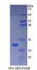 Human Recombinant Coupling Factor 6 (CF6)