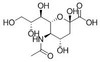 BSA Conjugated Sialic Acid (SA)