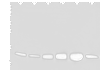 Western blot analysis of HEPG2 HUVEC and NIH/3T3 cell Human heart tissue Mouse heart tissue PC-3 cell lysates  using COX6C Polyclonal Antibody at dilution of 1:800