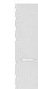 Western blot analysis of Jurkat cell lysate  using EN2 Polyclonal Antibody at dilution of 1:400