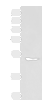 Western blot analysis of A549 cell lysate  using KCNJ2 Polyclonal Antibody at dilution of 1:550