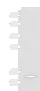 Western blot analysis of Mouse serum  using TTR Polyclonal Antibody at dilution of 1:600