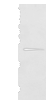 Western blot analysis of 293T cell  using RILPL2 Polyclonal Antibody at dilution of 1:400